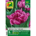 AUSTROSAAT Gefüllte frühe Tulpen 