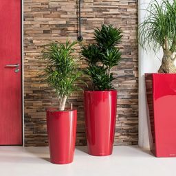 Lechuza Jardinière Rondo Premium 32 - rouge scarlet brillant