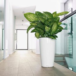 Lechuza Planter Rondo Premium 40 - White high gloss