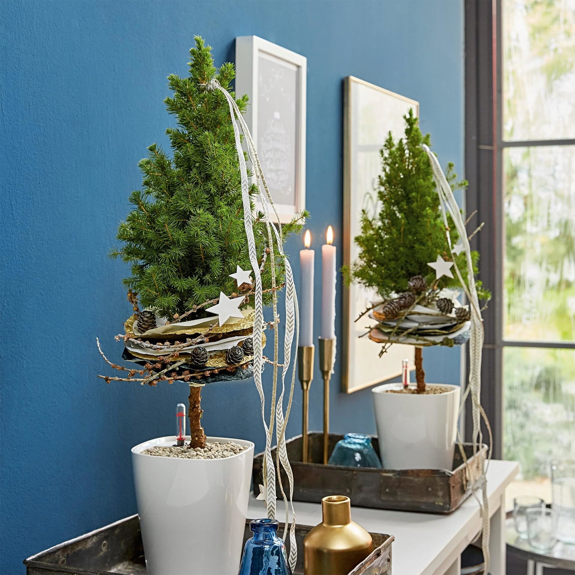 Lechuza MINI DELTINI Tabletop Planter