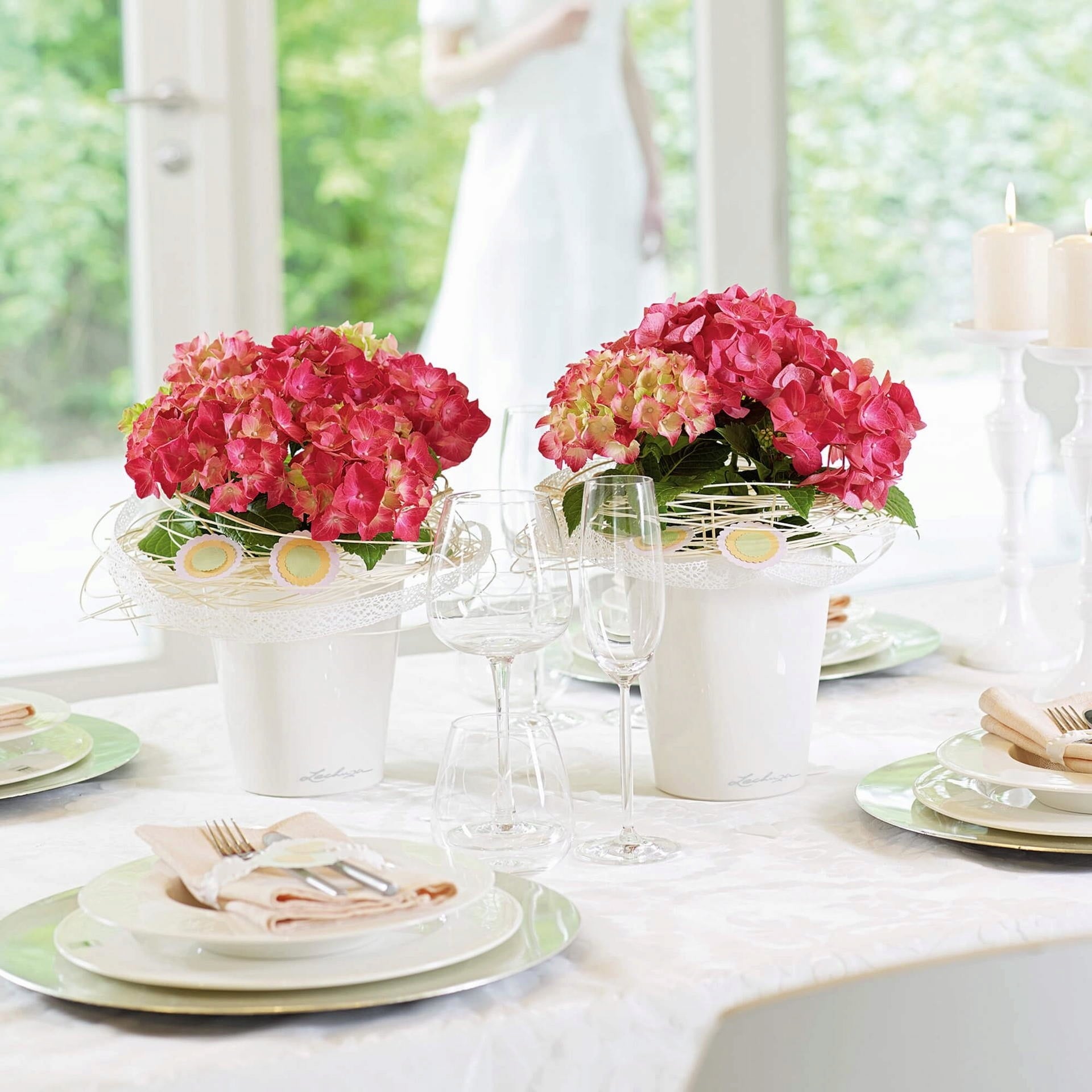 Lechuza MINI DELTINI Tabletop Planter