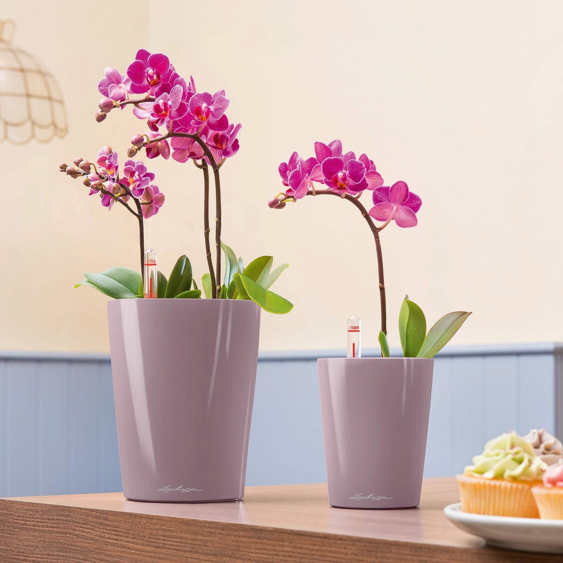 Lechuza MINI DELTINI Tabletop Planter