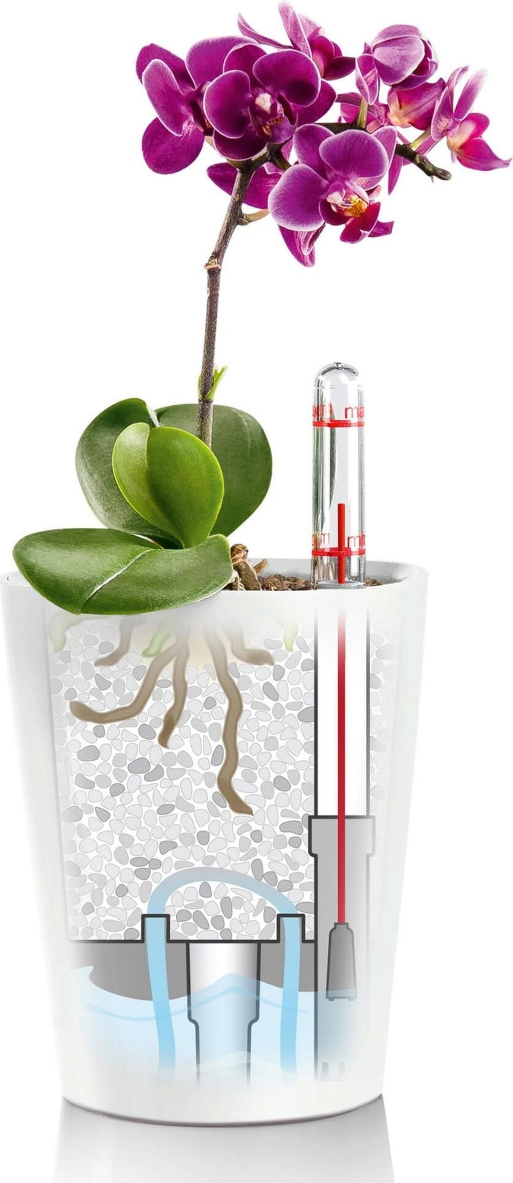 Lechuza MINI DELTINI Tabletop Planter