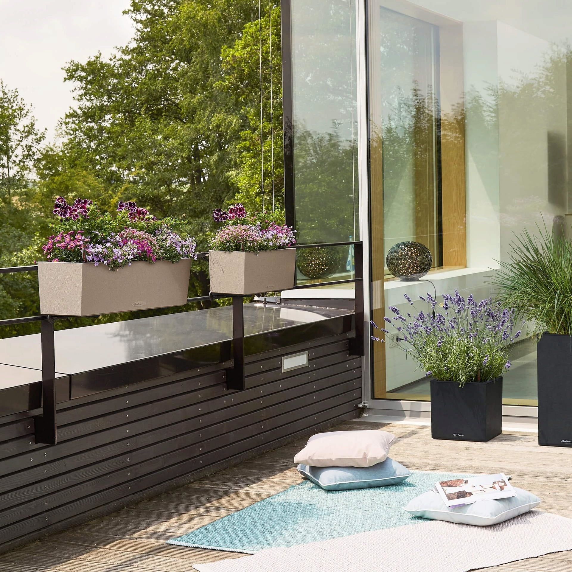 Lechuza BALCONERA Stone 50