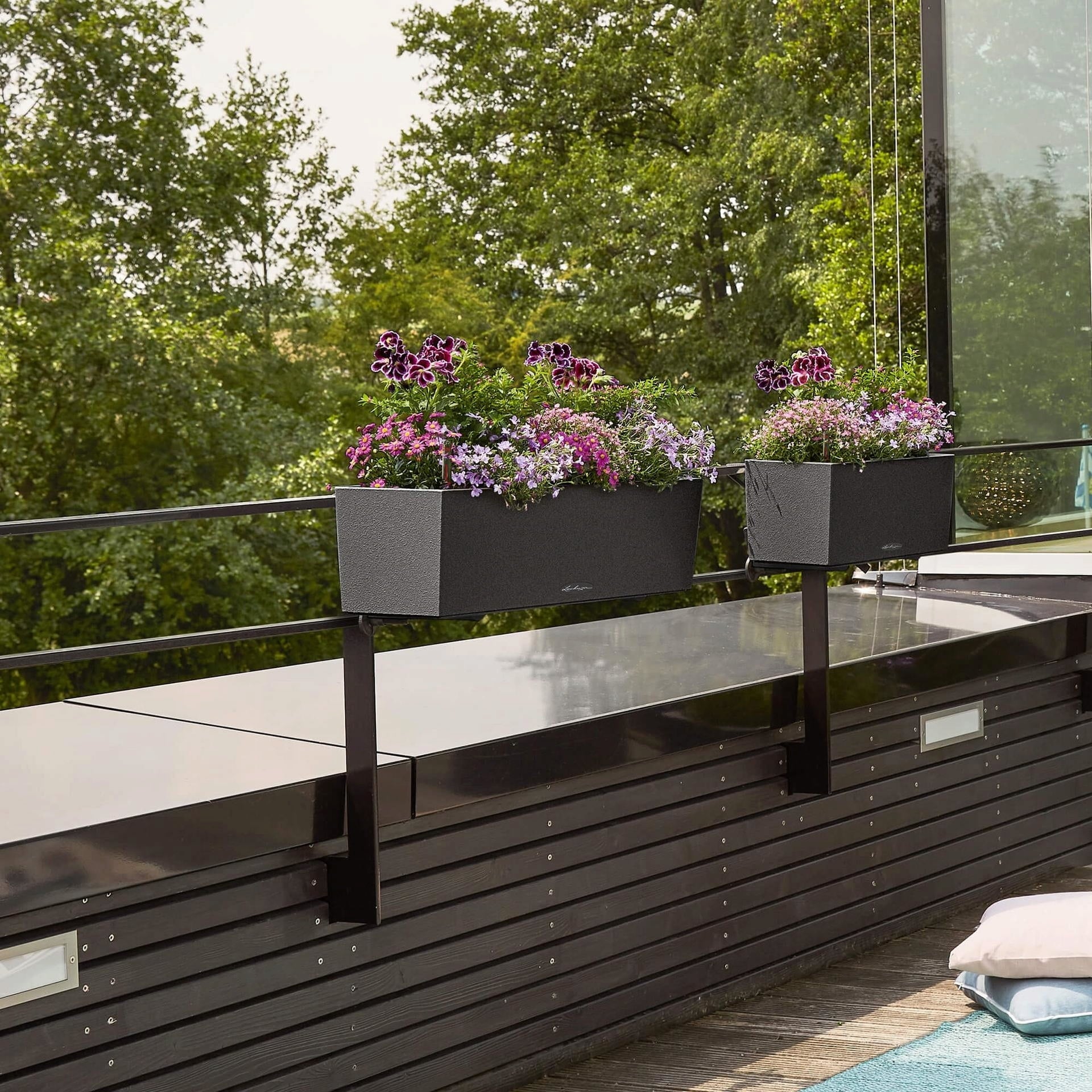 Lechuza BALCONERA Stone 50