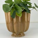 Miljögården Cache-Pot 