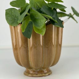 Miljögården Cache-Pot 