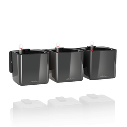 Lechuza CUBE Glossy Green Wall Home Kit - Anthracite High Gloss 