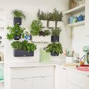 Lechuza Table Pot - Green Wall Home Kit Color