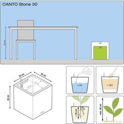 Lechuza CANTO Stone 30 - Low Planter