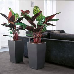 Lechuza CUBICO Premium 40 Planter - Anthracite Metallic