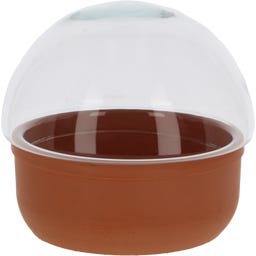 Esschert Design Terrario - Recipiente - ø 21cm