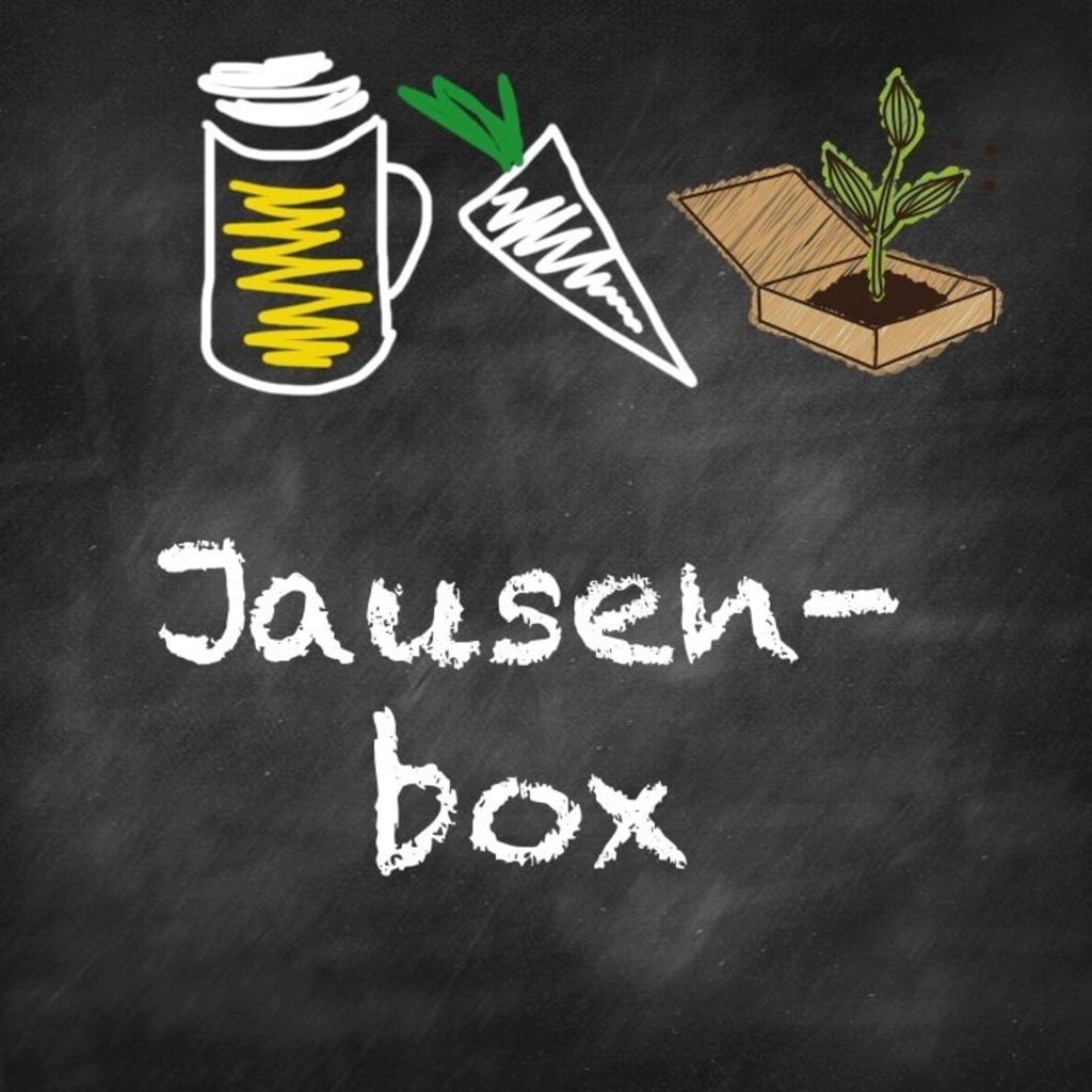 Samen Maier Organic Seed Box 