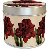 Sköna Ting Geurkaars "Amaryllis"