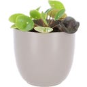 Esschert Design Blomkrukehängare Snigel