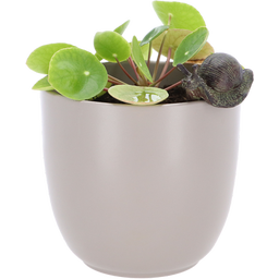 Esschert Design Hang-on Decor for Planter, Snail