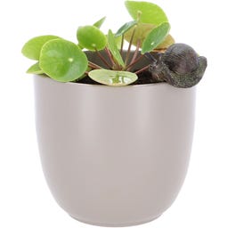 Esschert Design Závěs na květináč - šnek