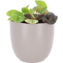 Esschert Design Blumentopfhänger Schnecke