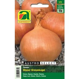 AUSTROSAAT Viennese Bronze Ball Onions - 1 Pkg