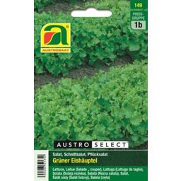 AUSTROSAAT Leaf Lettuce Grüner Eishäuptel - 1 Pkg