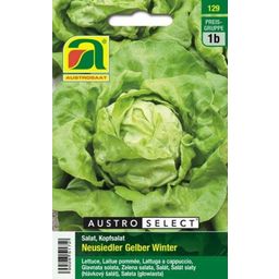 AUSTROSAAT Lettuce - Neusiedler Yellow Winter - 1 Pkg