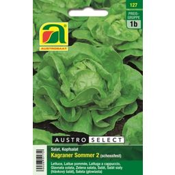 AUSTROSAAT Lettuce - Kagraner Sommer 2