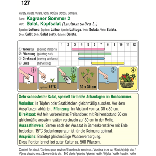 AUSTROSAAT Lettuce - Kagraner Sommer 2 - 1 Pkg