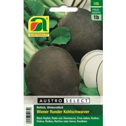 AUSTROSAAT Rzodkiew Wiener Runder Kohlschwarzer - 1 opak.