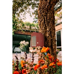 elho cosy Insect Hotel 18 cm - Tuscan Red