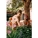 elho cosy Insect Hotel 18 cm - Tuscan Red