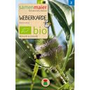 Samen Maier Bio Beet-Box - La Caja de Rarezas - 1 set