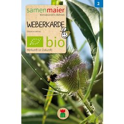 Samen Maier Bio Beet-Box - La Caja de Rarezas - 1 set