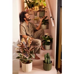 elho Topf facet rund 26cm - mandelrosa