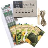 Samen Maier Organic Seed Box "For kids"