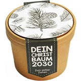 Wunderle Pflanzset mini "Dein Christbaum 2030"