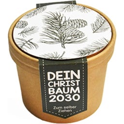 Wunderle Pflanzset mini 