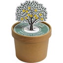 Wunderle Set de Cultivo - Árbol de los Deseos - 1 pieza