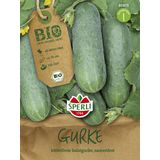 Sperli Organic Marketmore Cucumbers