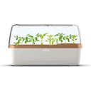 BoQube Mini Invernadero / Jardinera L - Crema y Cobre - 1 pieza
