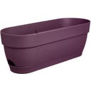 elho Balkonkasten vibia campana, 50 cm - ahorn lila