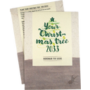 Your Christmas-Tree - Semi di Abete del Caucaso - 1 conf.