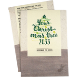 Your Christmas-Tree - Graines de Sapin Nordmann