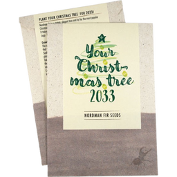 Your Christmas-Tree - Semi di Abete del Caucaso - 1 conf.