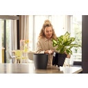 Set All-in-1 Pot Brussel Rond 25 cm avec Système d’Irrigation - 
