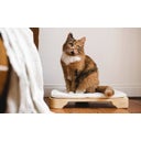 Denk Keramik Katzenbett 