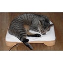 Denk Keramik Katzenbett 