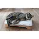Denk Keramik Katzenbett 