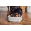 Denk Keramik Cuenco para Perros Granicium® - M