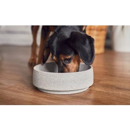 Denk Keramik Cuenco para Perros Granicium® - M