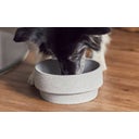 Denk Keramik Granicium® Dog Food Bowl - L
